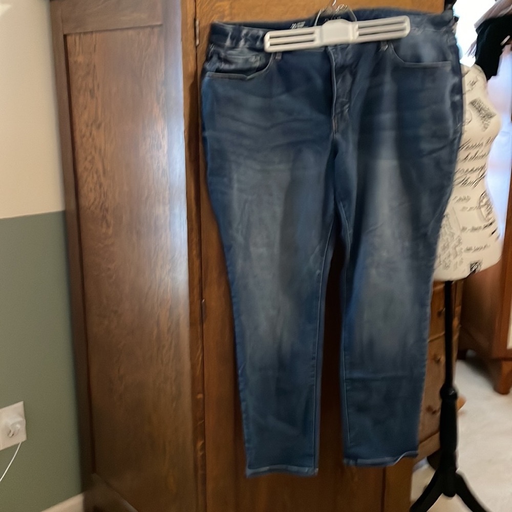 ana Mid-rise Skinny Jeans Size 20